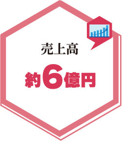 売上高約6億円